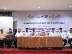 Pemkab Labuhanbatu serius melindungi kesehatan ibu melahirkan dan bayi baru lahir