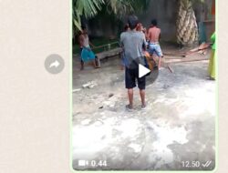 Satu dari tiga tersangka masih berkeliaran, Polres Asahan diminta segera tangkap DPO penganiayaan