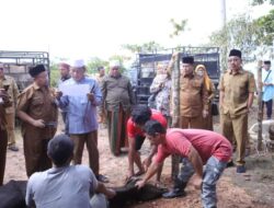 Pemkab Labusel laksanakan penyembelihan hewan qurban Idul Adha 1443 H