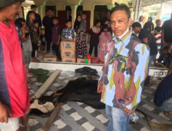 IPK Kecamatan Biru Biru sembelih qurban 1 ekor sapi 