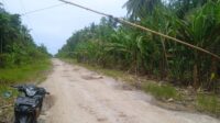Kades Air Hitam diduga pungli uang palang Rp100 dan Rp 200 ke supir mobil