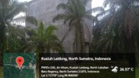 Gedung walet milik APO di Desa Air Hitam diduga tidak milik izin IMBG