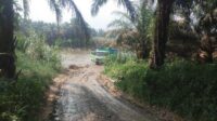 Beberapa Aktivitas Quarry Tanpa Izin di Ujung Batu Rokan Riau Aman Beroperasi, APH Jangan Tutup Mata