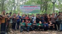Wolon bersama Kabag Tanaman PTPN lV,regional 1 dengan Karyawan pelaksana.