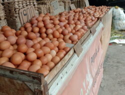 Jelang Nataru, harga telur melambung tinggi