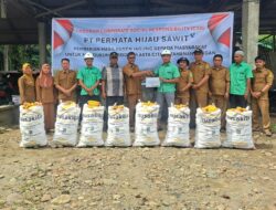 PT PHS Kebun Papaso Gelar CSR Pemberian Hasil Panen Jagung untuk Dukung Ketahanan Pangan