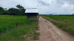 Warga Heran, Bangunan Pondok Berdiri di Jalan Umum Desa